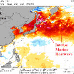 A map of the sea AI-generated content may be incorrect.