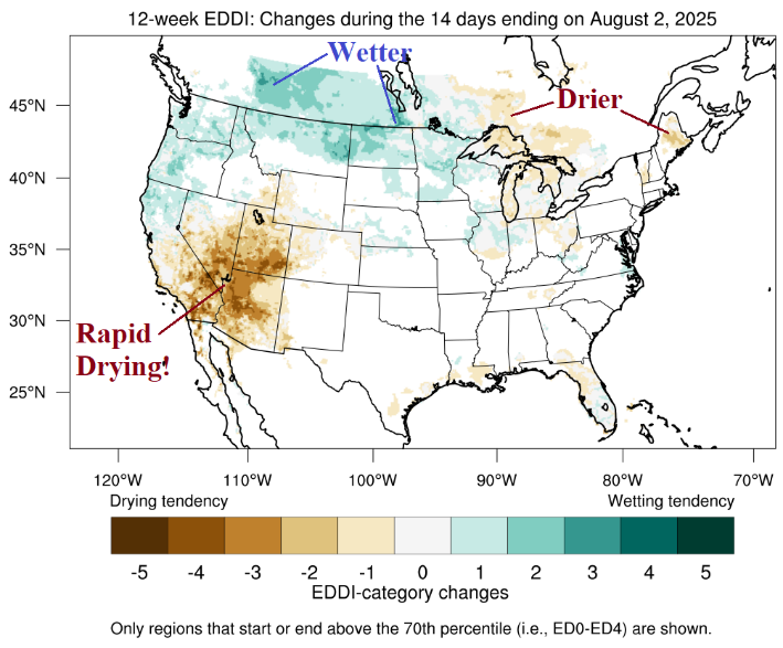 A map of the united states AI-generated content may be incorrect.
