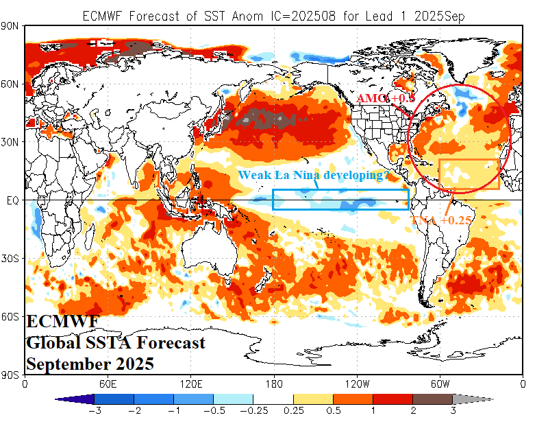 A map of the world AI-generated content may be incorrect.